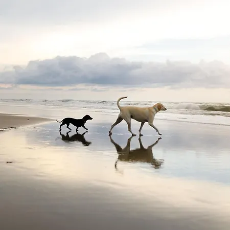 Arthurs Retreat - Part Of The The Bay Filey Holiday Village With Pool, Gym And Direct Beach Access, Pub, Restaurant, Tennis And Meadows Walks *